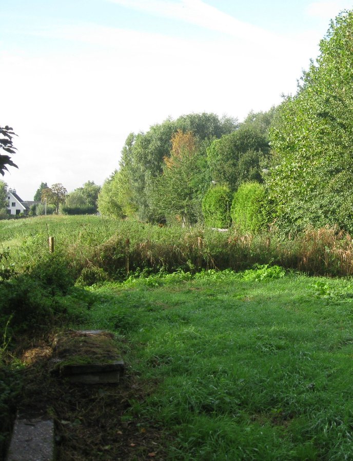 Nieuwe historische wandeling in Halfweg-Oost